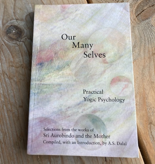 Book “Our many selves”
